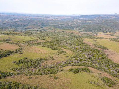 Chacra / Campo 4.037 ha en Tacuarembó — foto 5