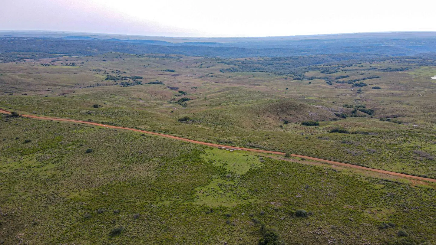 Chacra / Campo 4.037 ha en Tacuarembó — foto 8