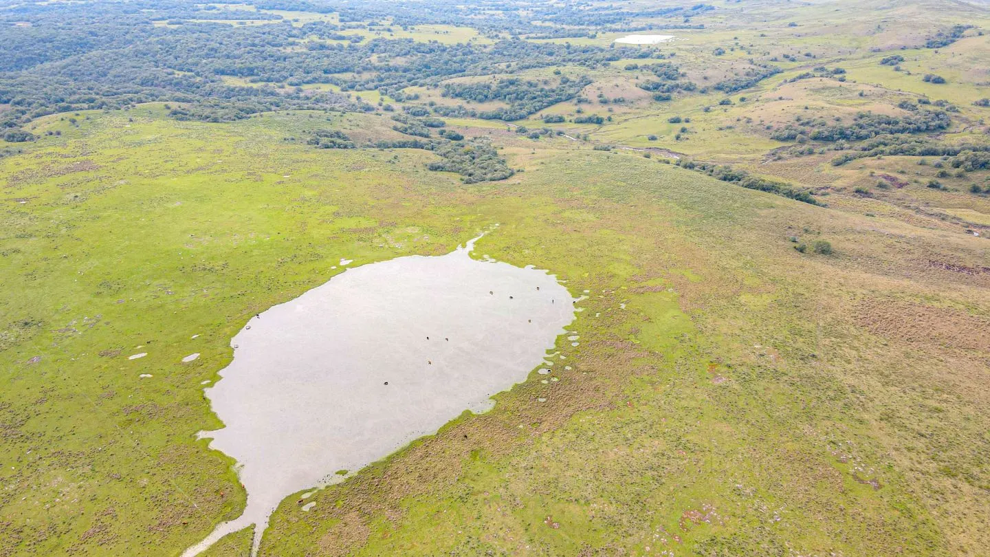 Chacra / Campo 4.037 ha en Tacuarembó — foto 9