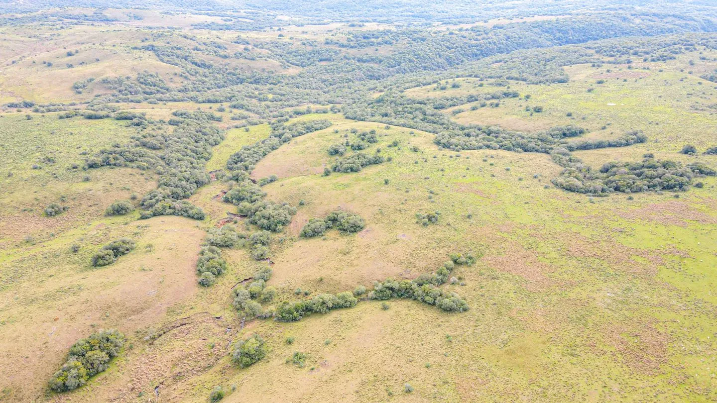 Chacra / Campo 4.037 ha en Tacuarembó — foto 10