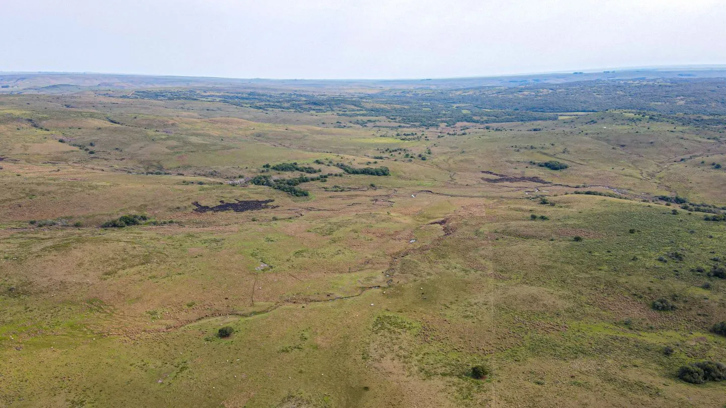 Chacra / Campo 4.037 ha en Tacuarembó — foto 11
