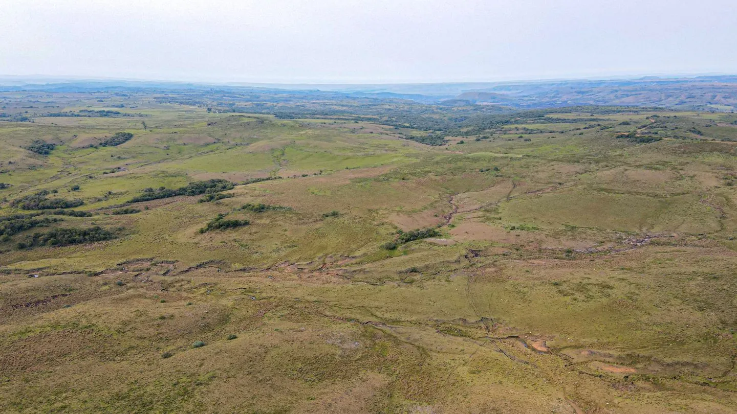 Chacra / Campo 4.037 ha en Tacuarembó — foto 12