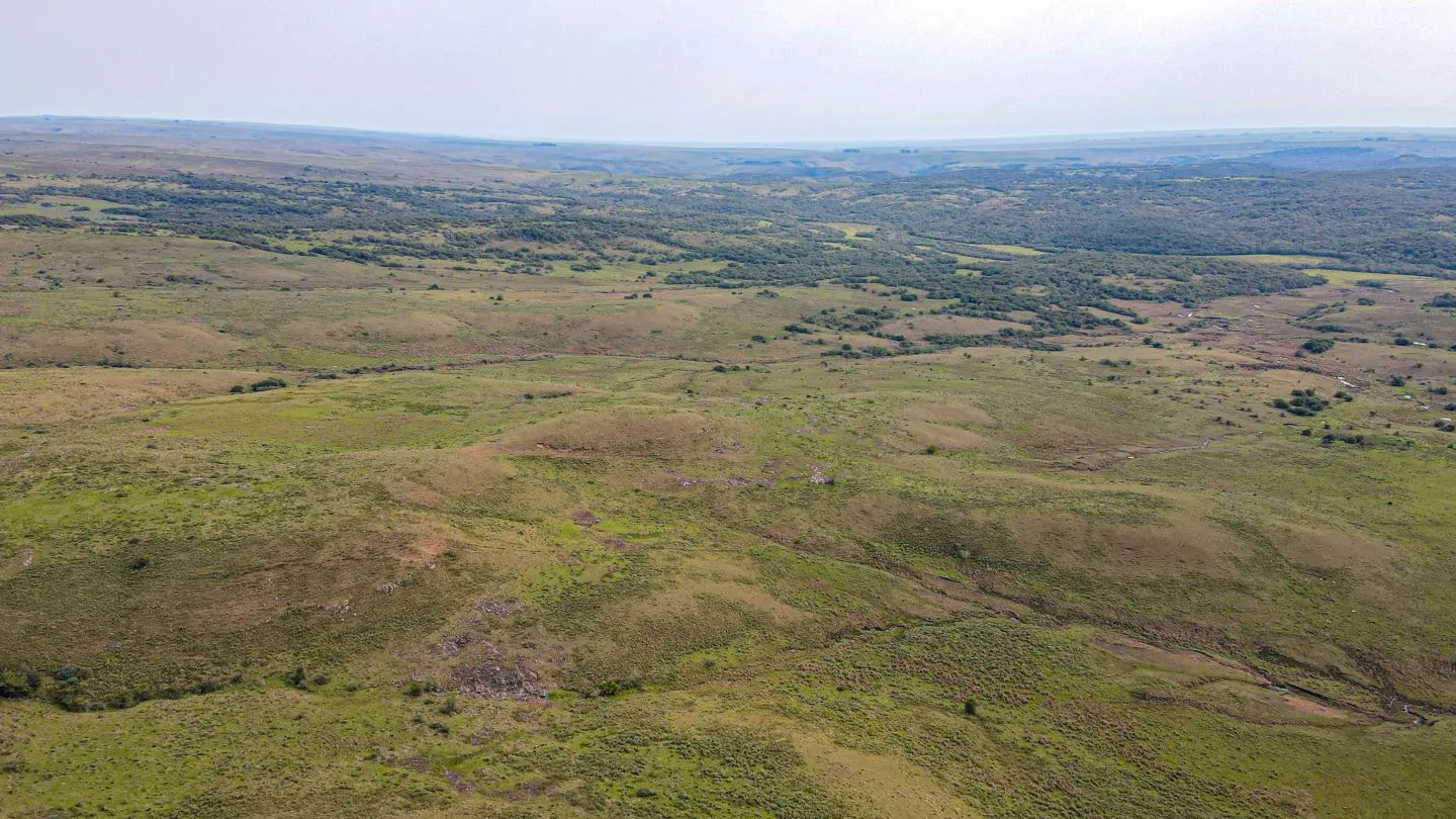 Chacra / Campo 4.037 ha en Tacuarembó — foto 14