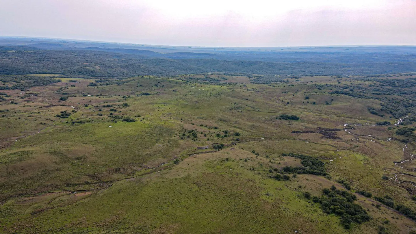 Chacra / Campo 4.037 ha en Tacuarembó — foto 15