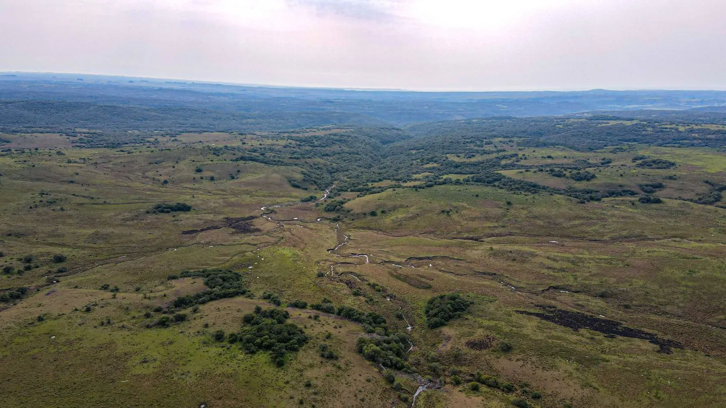 Chacra / Campo 4.037 ha en Tacuarembó — foto 16