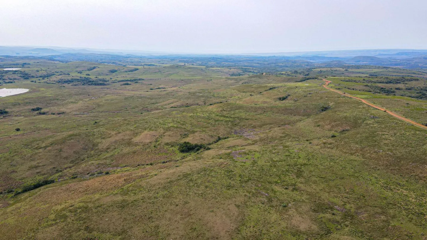 Chacra / Campo 4.037 ha en Tacuarembó — foto 18