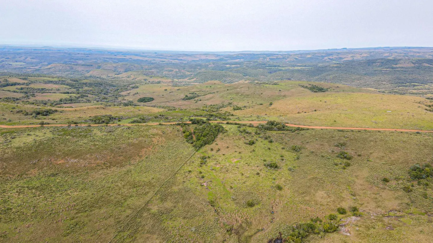 Chacra / Campo 4.037 ha en Tacuarembó — foto 20