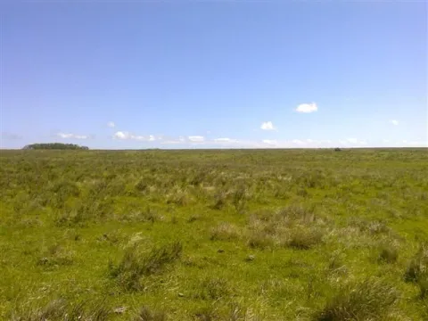 Chacra / Campo 193 ha en Rocha — foto 2