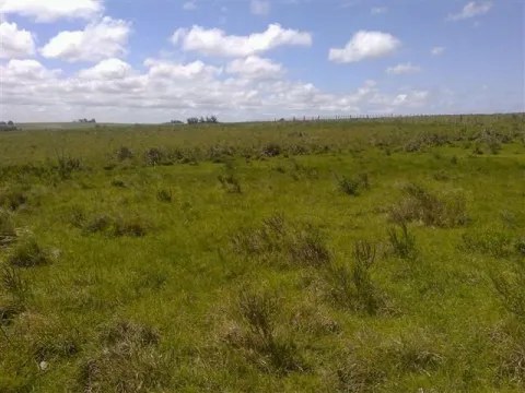 Chacra / Campo 193 ha en Rocha — foto 3