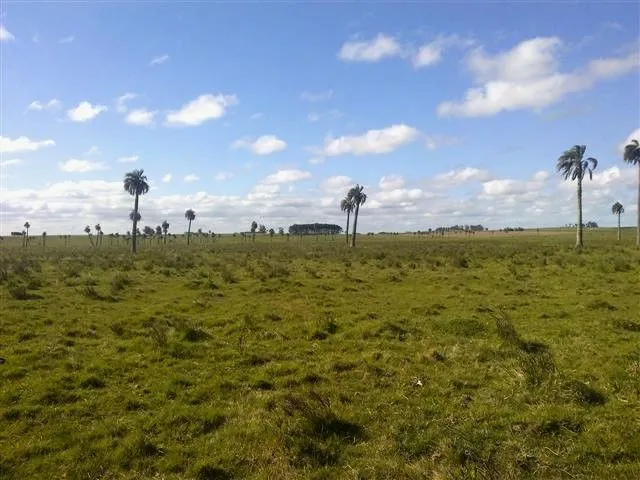 Chacra / Campo 193 ha en Rocha — foto 6