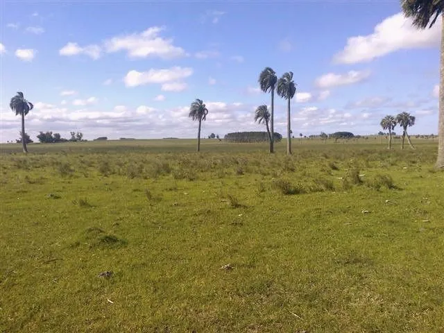 Chacra / Campo 193 ha en Rocha — foto 8