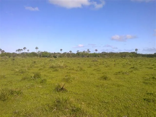 Chacra / Campo 193 ha en Rocha — foto 12