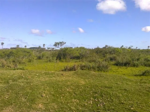 Chacra / Campo 193 ha en Rocha — foto 17
