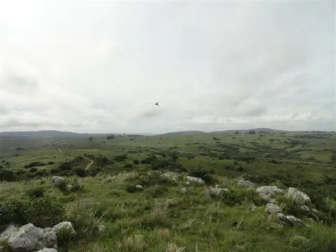 MIERES 35 has  en zona de Pueblo Edén  ATM 4364