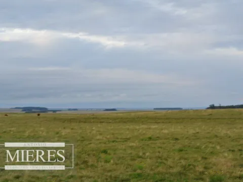 Chacra / Campo 65 ha en Punta Del Este