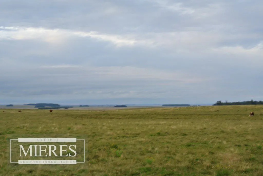 Chacra / Campo 65 ha en Punta Del Este — foto 2