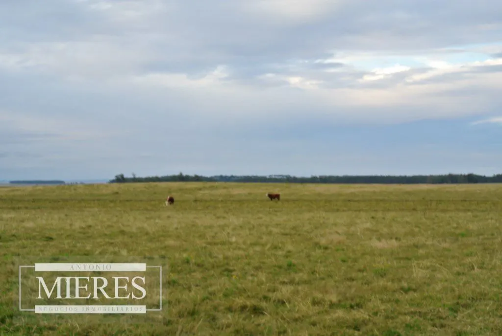 Chacra / Campo 65 ha en Punta Del Este — foto 5