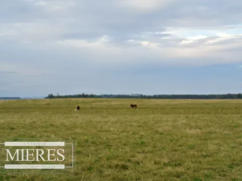 Chacra / Campo 65 ha en Punta Del Este — foto 5