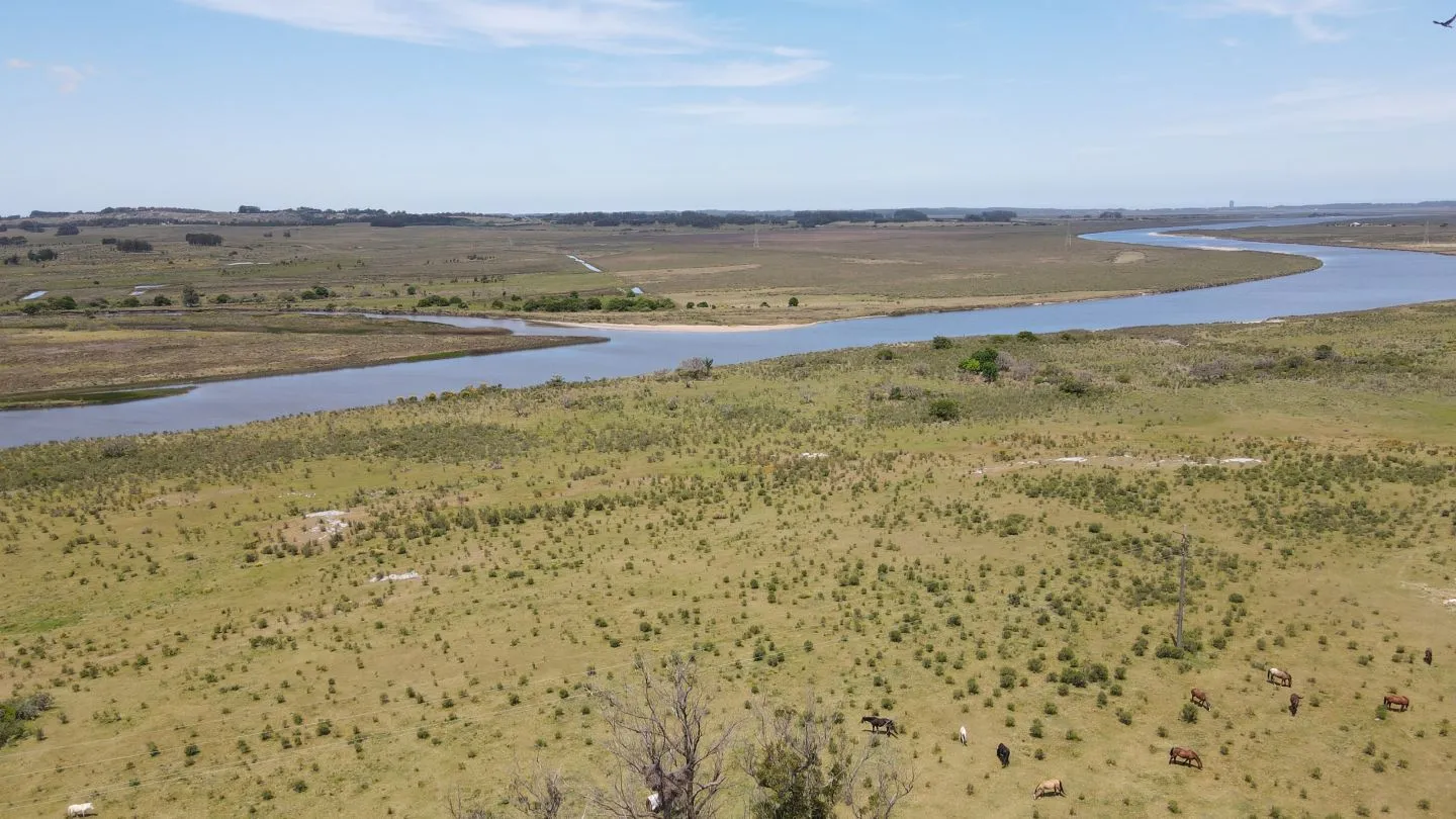 Chacra / Campo 5 ha en Maldonado — foto 4