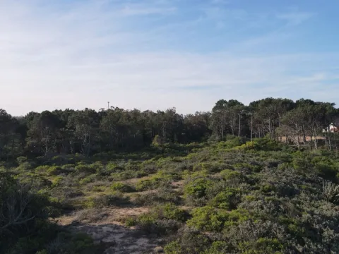 Venta lotes en conjunto - Punta Ballena — foto 2