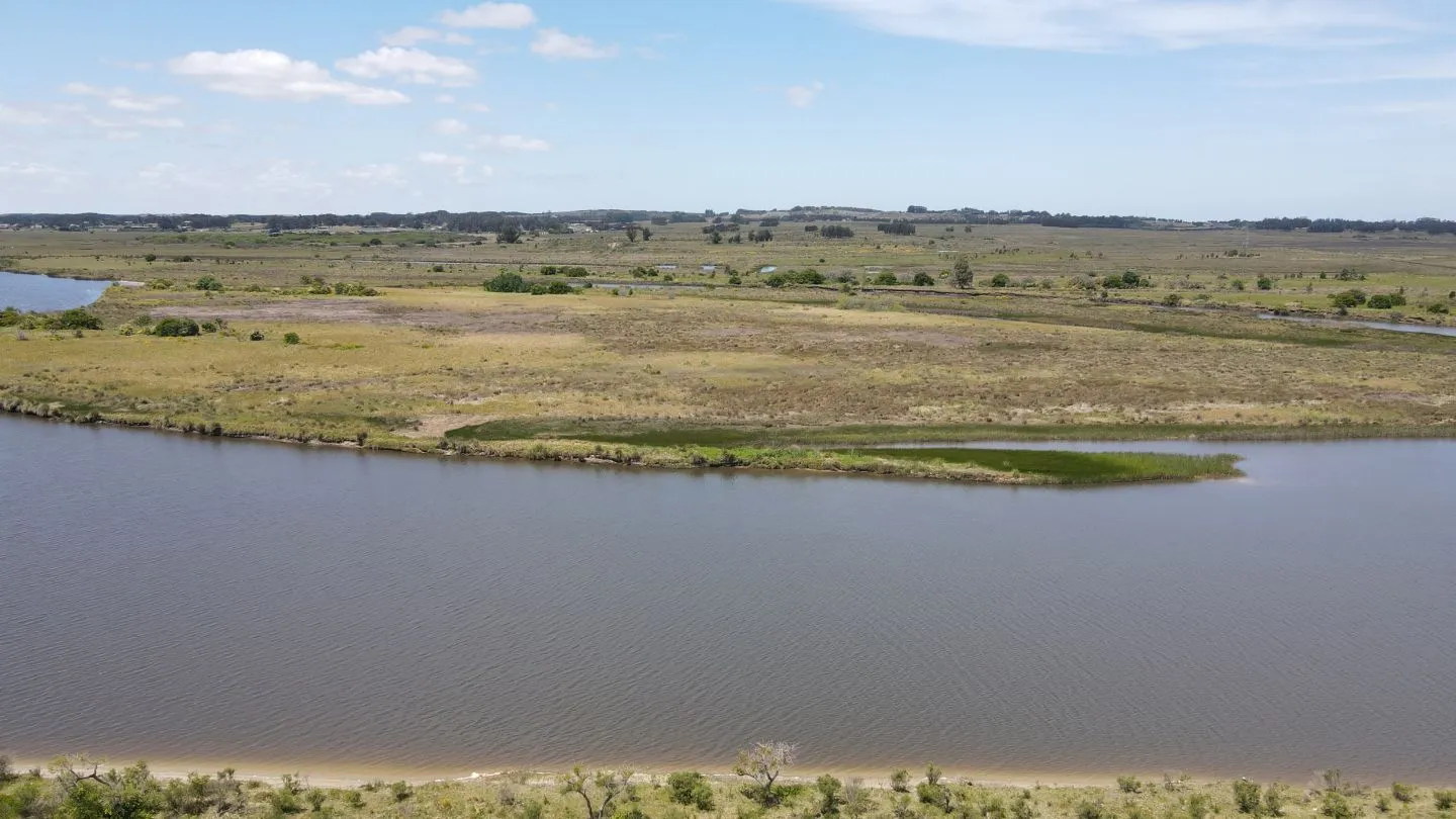 Chacra / Campo 5 ha en Maldonado — foto 5