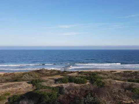 Venta lotes en conjunto - Punta Ballena — foto 4
