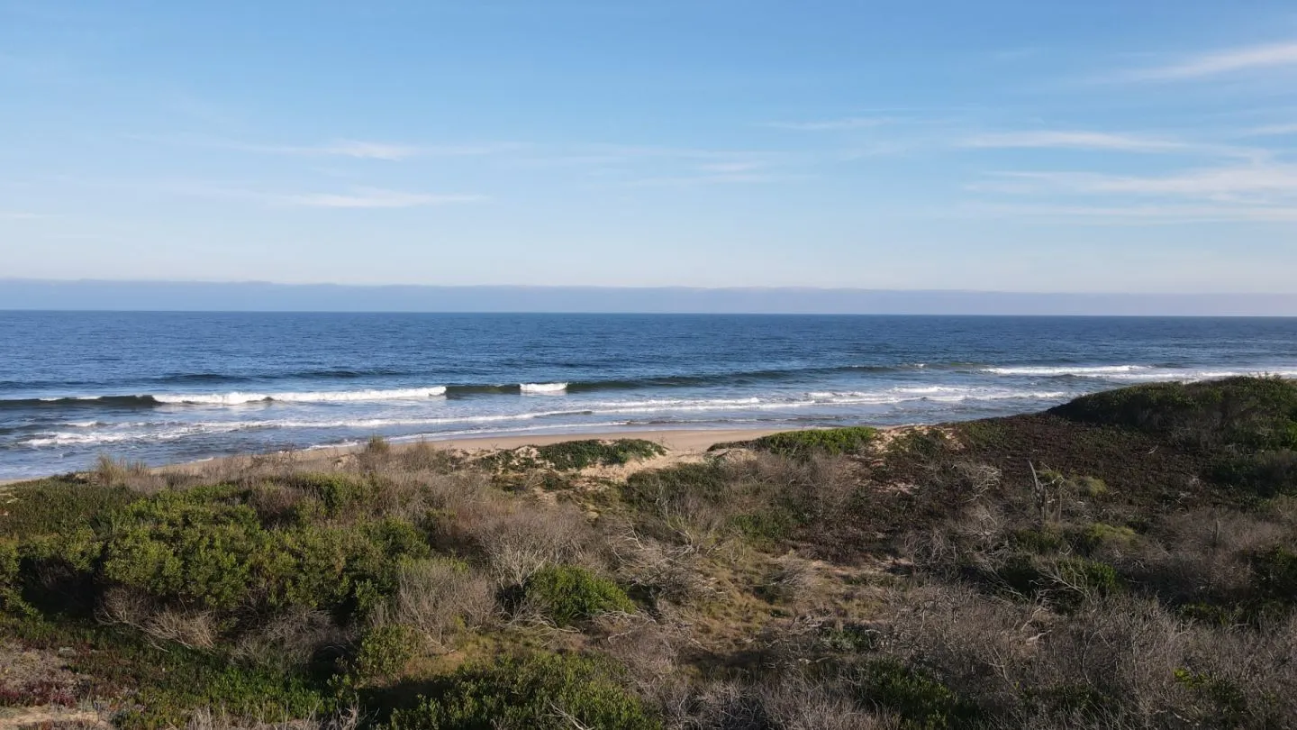 Venta lotes en conjunto - Punta Ballena — foto 5