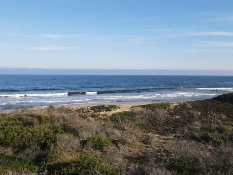 Venta lotes en conjunto - Punta Ballena — foto 5