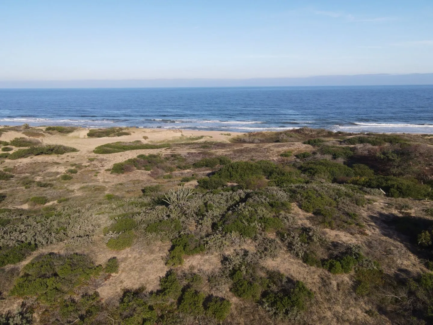 Venta lotes en conjunto - Punta Ballena — foto 6