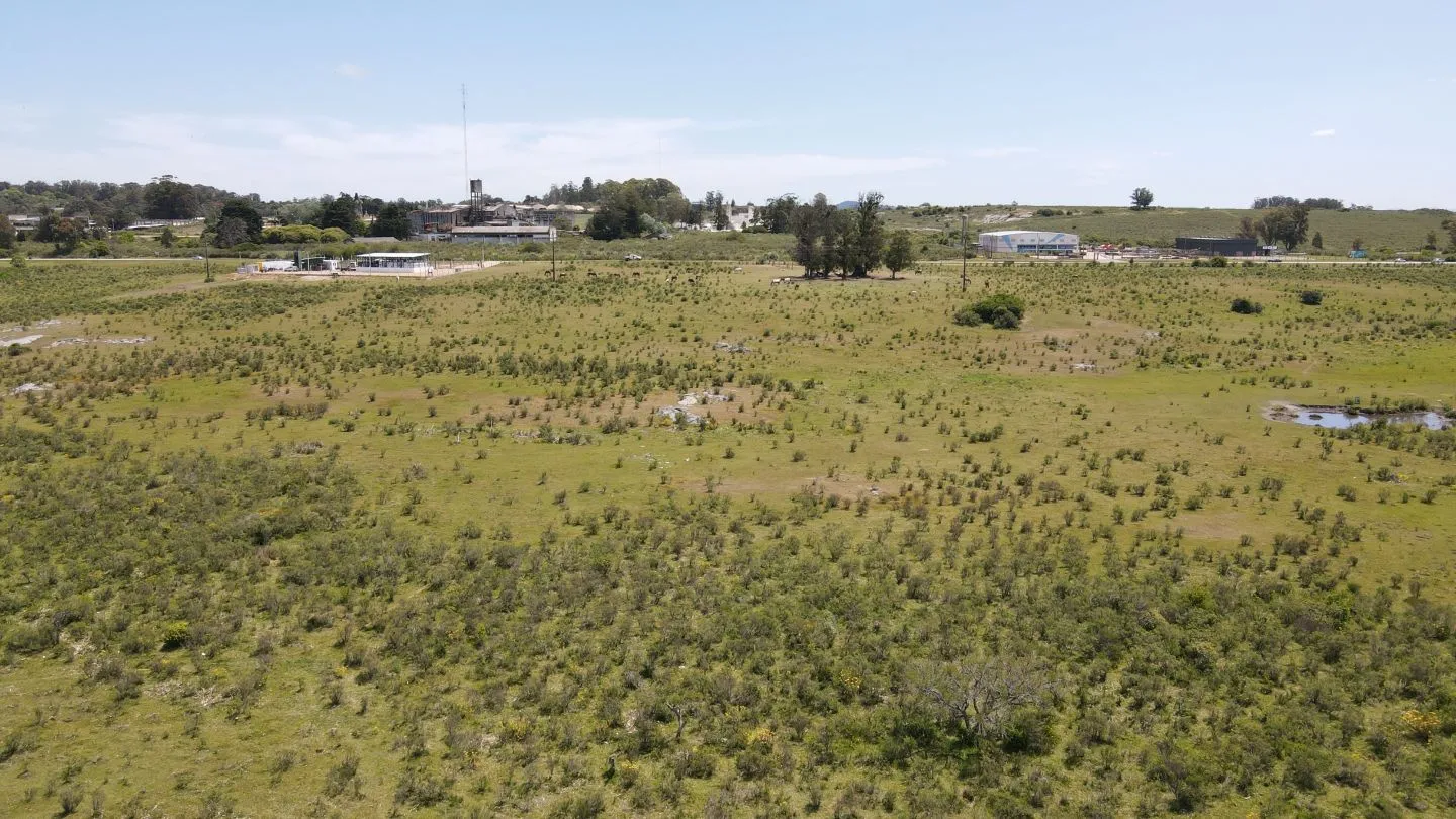 Chacra / Campo 5 ha en Maldonado — foto 9