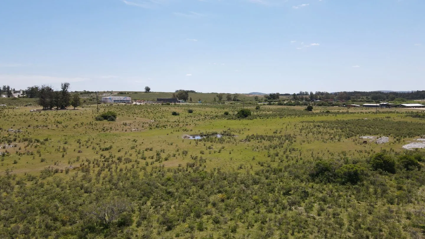 Chacra / Campo 5 ha en Maldonado — foto 12