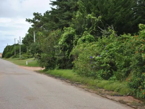 Venta lote desarrollo inmobiliario - Punta del Este