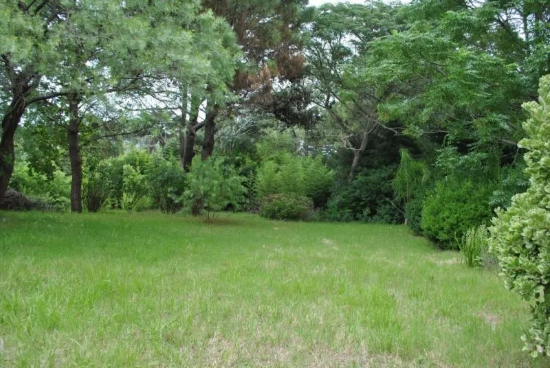 Venta lote desarrollo inmobiliario - Punta del Este — foto 4