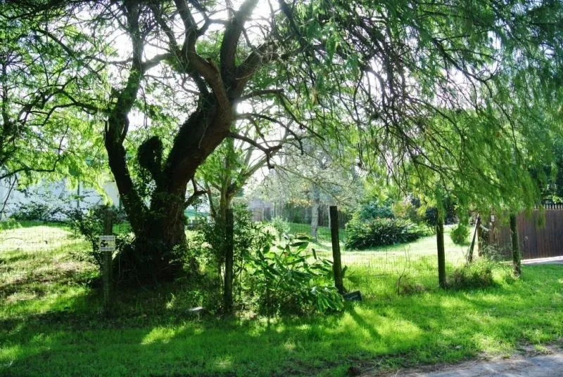 Venta lote a pasos del mar - Playa Mansa — foto 5