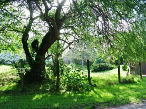 Venta lote a pasos del mar - Playa Mansa — foto 5