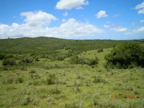 Chacra / Campo 29,4 ha en Maldonado
