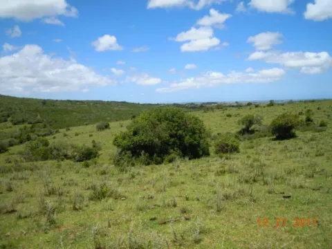 Chacra / Campo 29,4 ha en Maldonado — foto 2