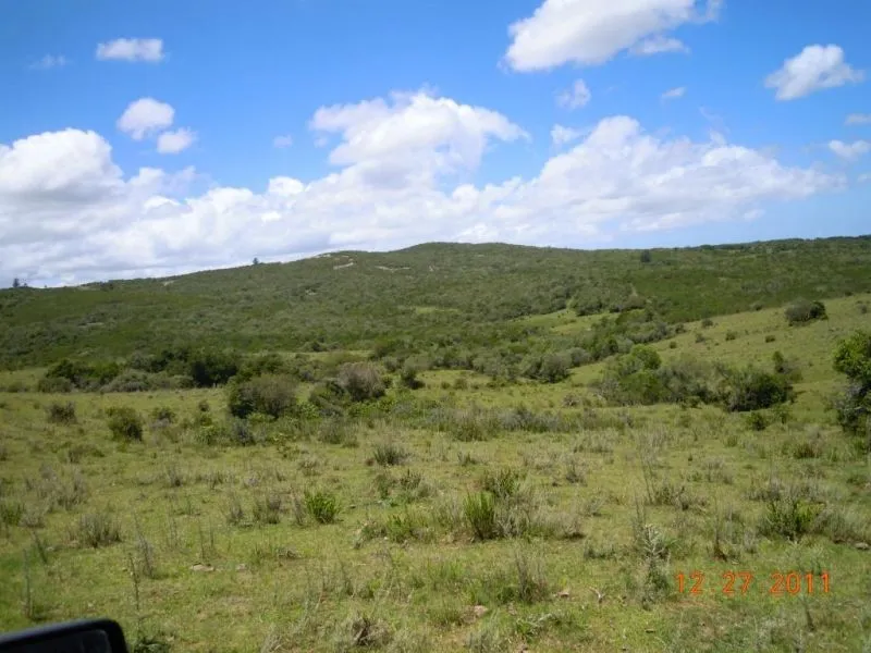 Chacra / Campo 29,4 ha en Maldonado — foto 3