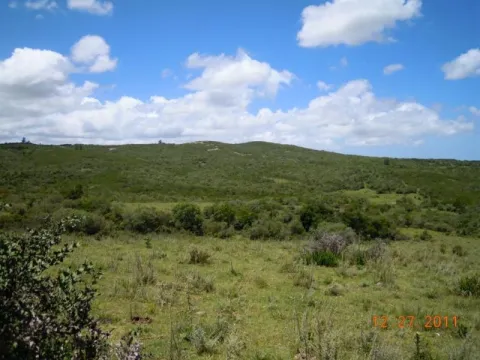 Chacra / Campo 29,4 ha en Maldonado — foto 4