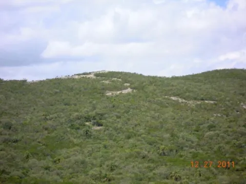 Chacra / Campo 29,4 ha en Maldonado — foto 5