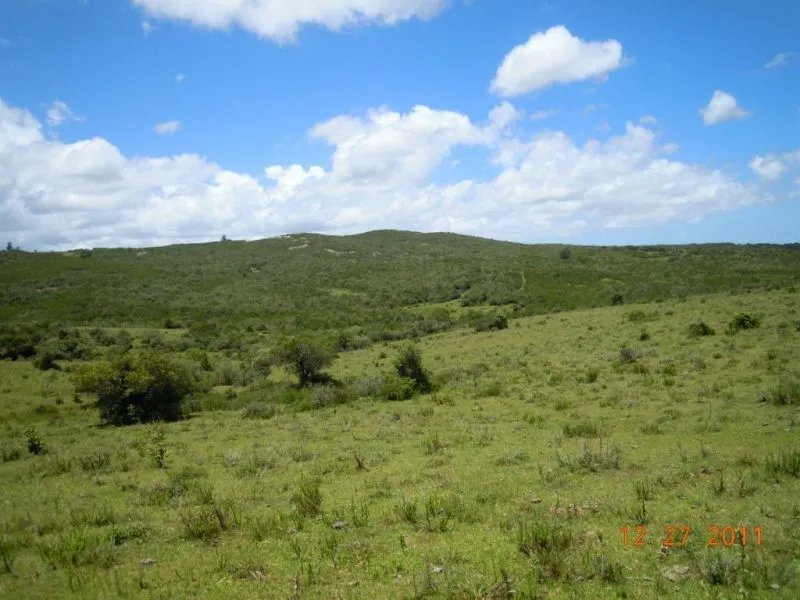 Chacra / Campo 29,4 ha en Maldonado — foto 6
