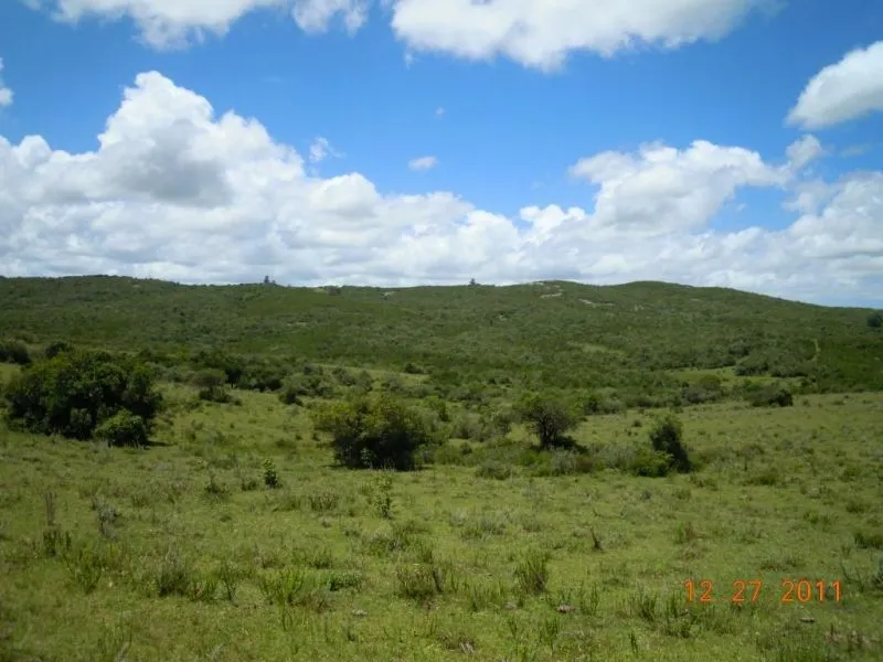 Chacra / Campo 29,4 ha en Maldonado — foto 7