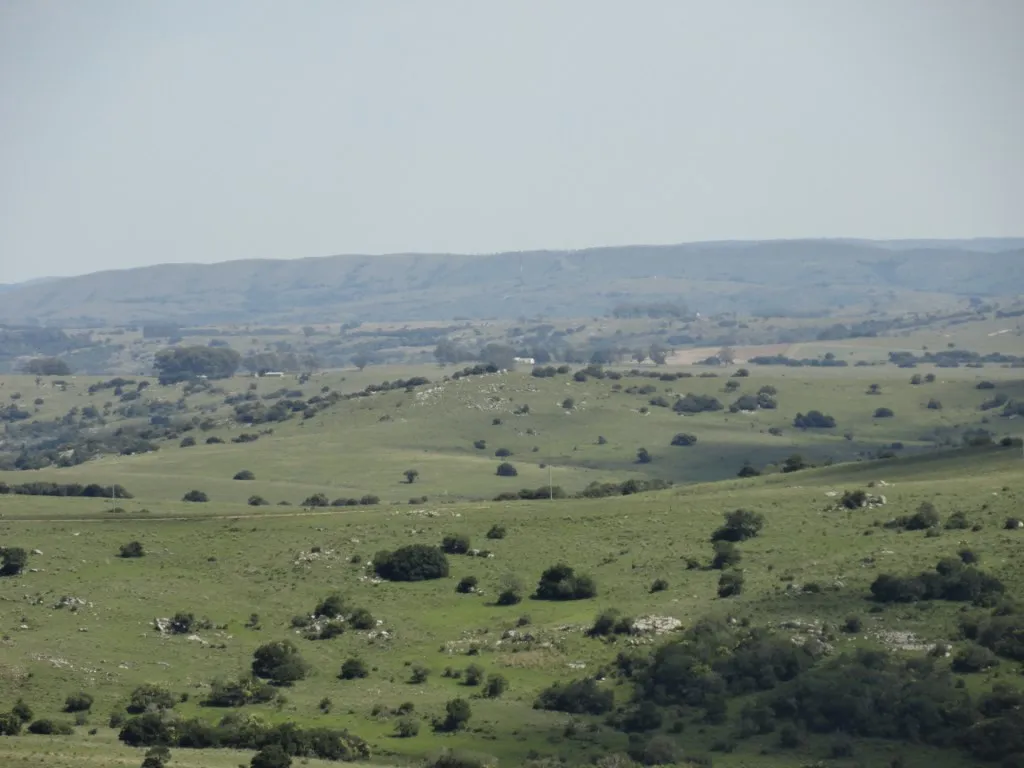 Chacra / Campo 96 ha en Maldonado — foto 1