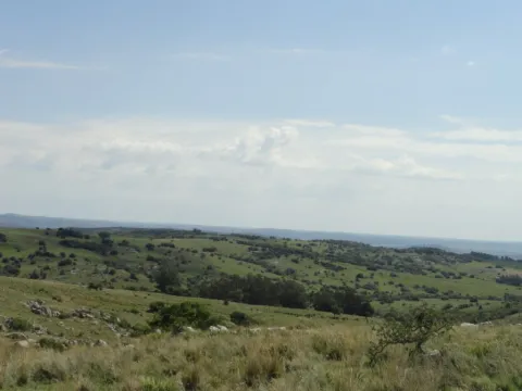 Chacra / Campo 96 ha en Maldonado — foto 2