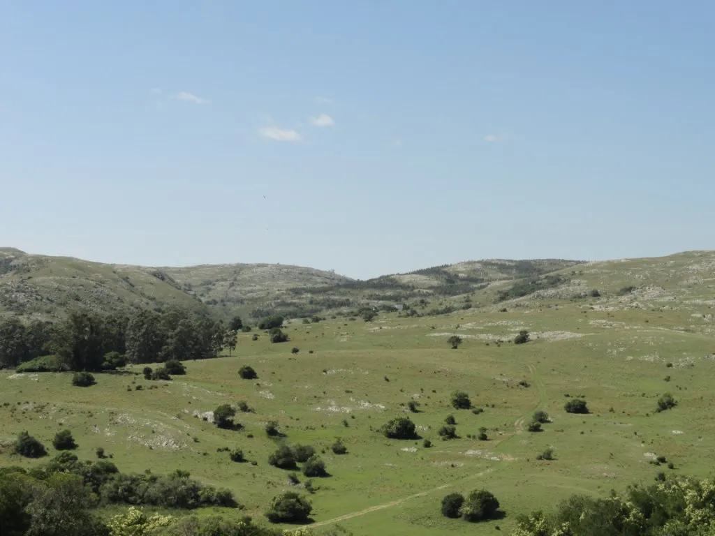 Chacra / Campo 96 ha en Maldonado — foto 3