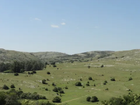 Chacra / Campo 96 ha en Maldonado — foto 3
