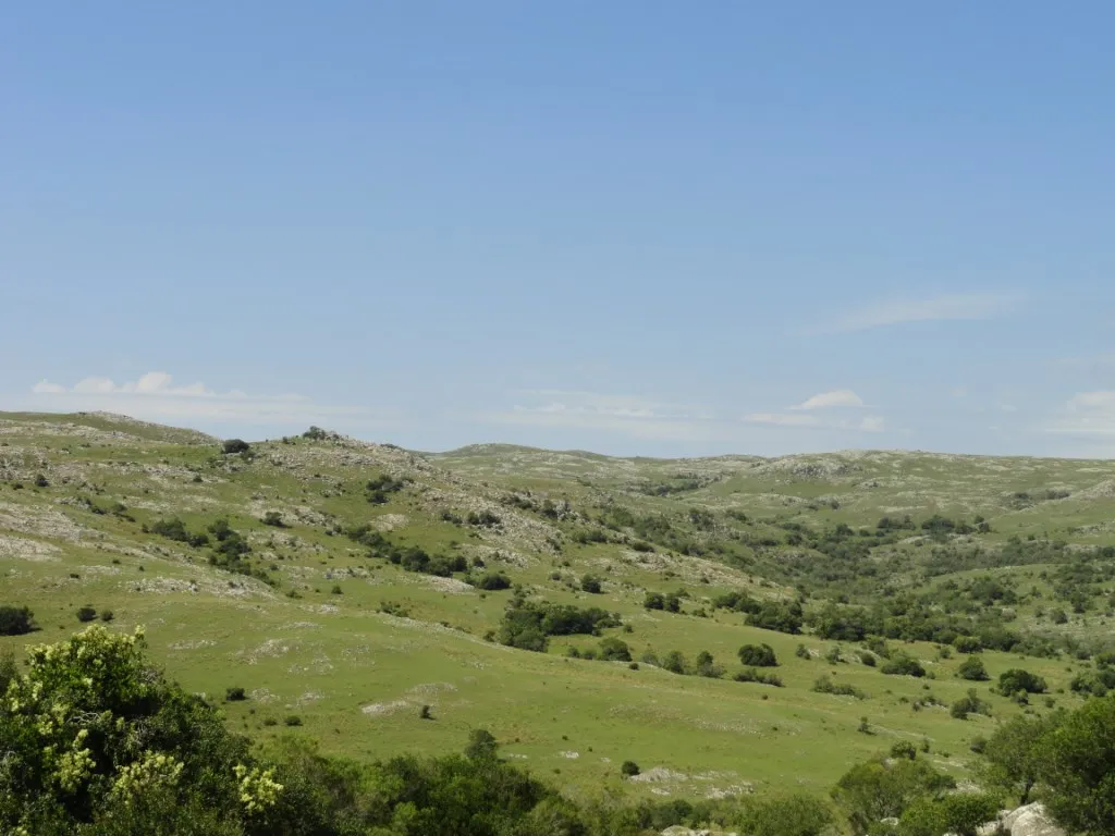 Chacra / Campo 96 ha en Maldonado — foto 4
