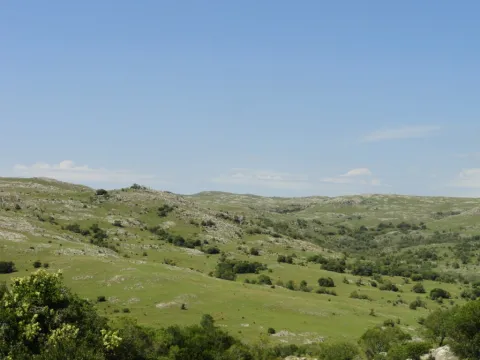 Chacra / Campo 96 ha en Maldonado — foto 4