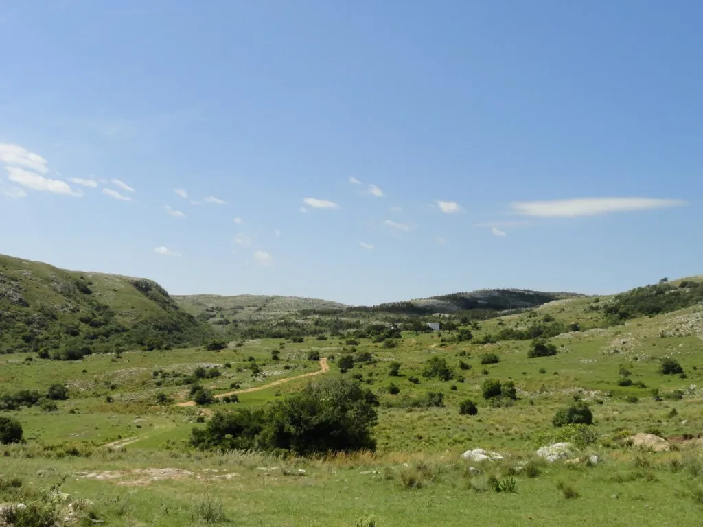 Chacra / Campo 96 ha en Maldonado — foto 5