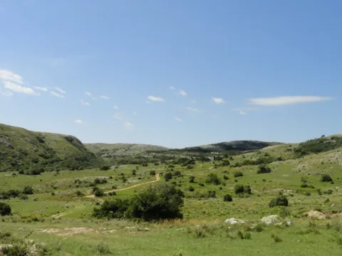 Chacra / Campo 96 ha en Maldonado — foto 5